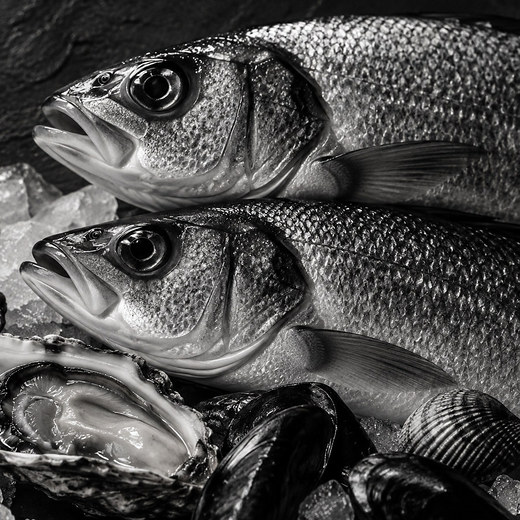 Poissons entiers fraîchement arrivés